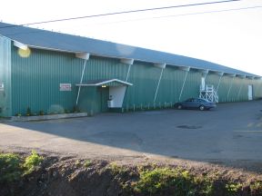 Arena